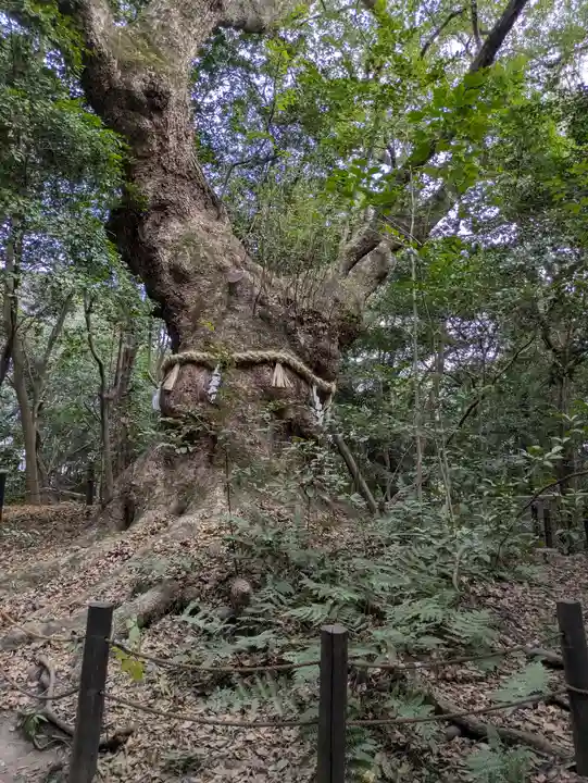 熱田神宮(愛知県)