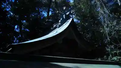 折居神社の本殿・本堂