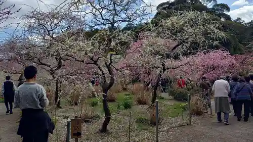 龍尾神社(静岡県)
