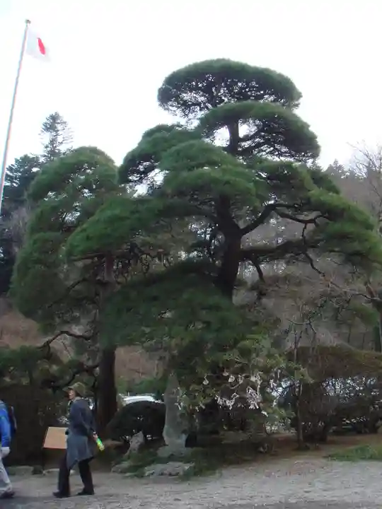 宝登山神社の自然