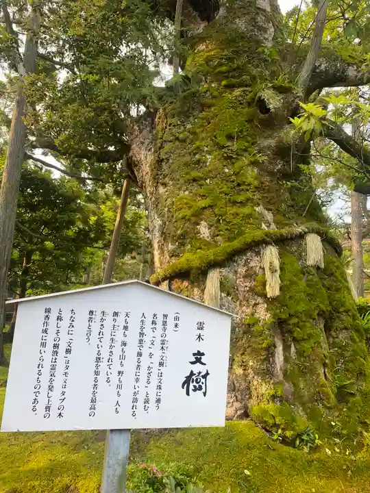 智恩寺(京都府)