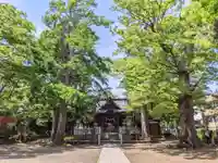 亀岡八幡宮(亀岡八幡神社)の本殿・本堂