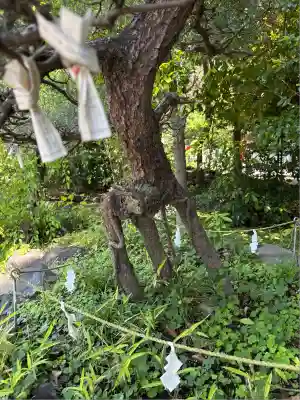 進雄神社(群馬県)
