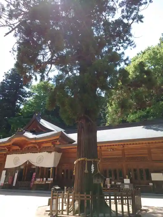 穂高神社本宮(長野県)