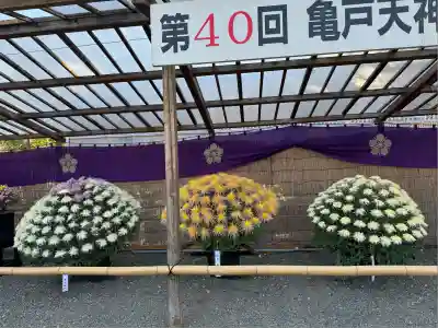 亀戸天神社(東京都)