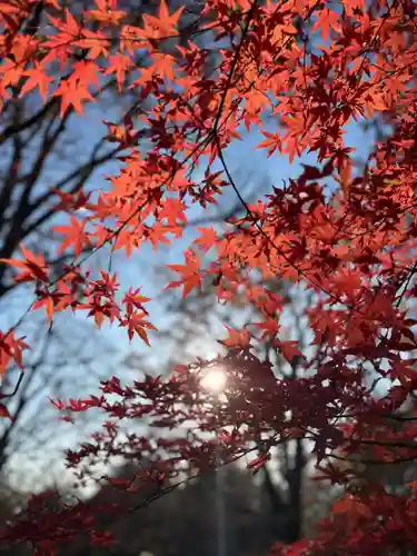 武田神社(山梨県)