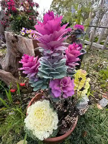 水堂須佐男神社(兵庫県)