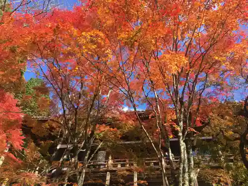 播州清水寺の自然
