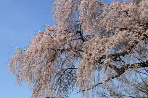 貝山薬師堂の自然
