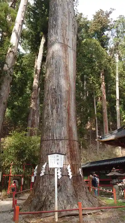 日光二荒山神社(栃木県)