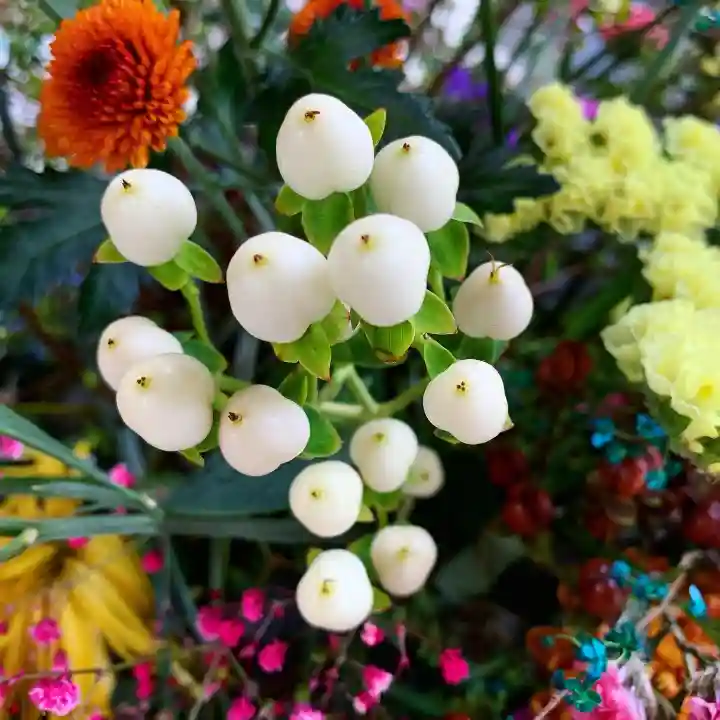 滑川神社 - 仕事と子どもの守り神の手水舎