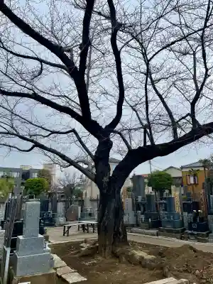頤神襌院の{uncategorized: "未分類", other: "その他", undefined: "問題あり", building: "その他建物", grave: "お墓", sacred_gate: "鳥居", guardian: "狛犬", statue: "像", buddha: "仏像", history: "歴史", nature: "自然", garden: "庭園", animal: "動物", pagoda: "塔", temizu: "手水舎", mountain_gate: "山門・神門", sanctuary: "本殿・本堂", subordinate: "末社・摂社", art: "芸術", scenery: "景色", jizo: "地蔵", ema: "絵馬", goshuin: "御朱印", omikuji: "おみくじ", items: "授与品その他", amulet: "お守り", goshuincho: "御朱印帳", eats: "食事", festival: "お祭り", votive_dance: "神楽", shichigosan: "七五三参", wedding: "結婚式", experience: "体験その他", initially: "初詣", around: "周辺", anti_infection: "感染症対策"}
