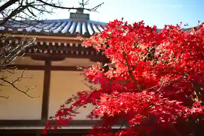 東漸寺(千葉県)