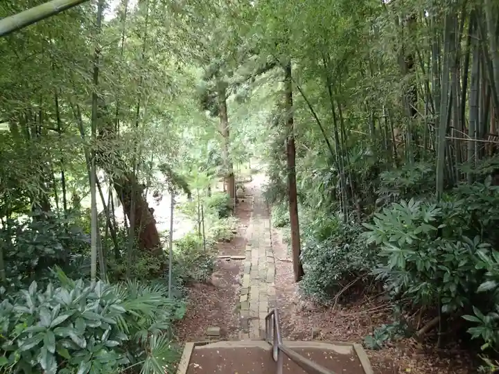 葦不合神社の自然