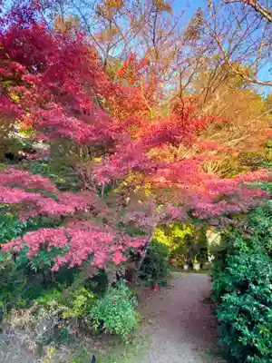 不退寺(奈良県)