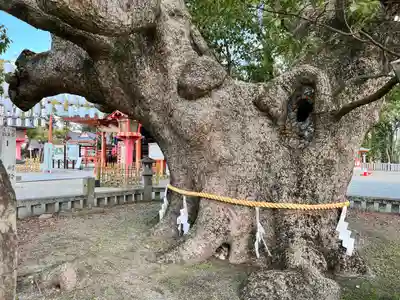 風浪宮(福岡県)