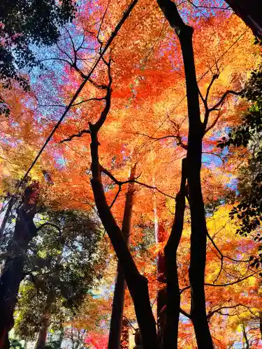 胡宮神社（敏満寺史跡）(滋賀県)