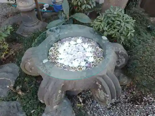 光明寺の手水舎