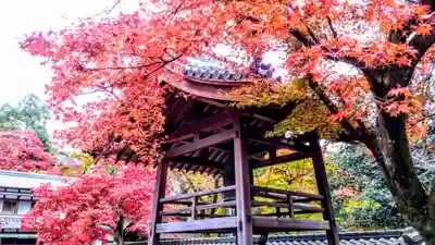 定光寺のその他建物