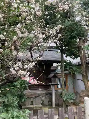 京都大神宮(京都府)