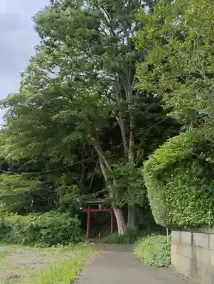 白山神社(茨城県)
