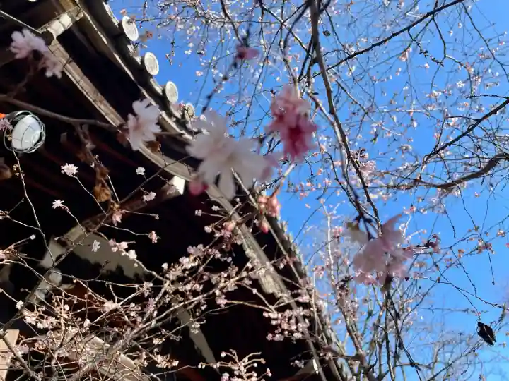 法明寺の{uncategorized: "未分類", other: "その他", undefined: "問題あり", building: "その他建物", grave: "お墓", sacred_gate: "鳥居", guardian: "狛犬", statue: "像", buddha: "仏像", history: "歴史", nature: "自然", garden: "庭園", animal: "動物", pagoda: "塔", temizu: "手水舎", mountain_gate: "山門・神門", sanctuary: "本殿・本堂", subordinate: "末社・摂社", art: "芸術", scenery: "景色", jizo: "地蔵", ema: "絵馬", goshuin: "御朱印", omikuji: "おみくじ", items: "授与品その他", amulet: "お守り", goshuincho: "御朱印帳", eats: "食事", festival: "お祭り", votive_dance: "神楽", shichigosan: "七五三参", wedding: "結婚式", experience: "体験その他", initially: "初詣", around: "周辺", anti_infection: "感染症対策"}