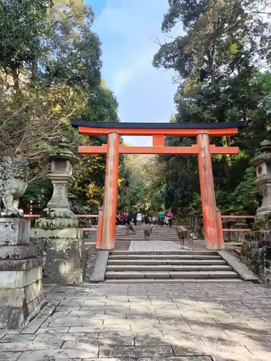 春日大社(奈良県)
