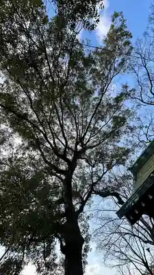 彌刀神社(大阪府)