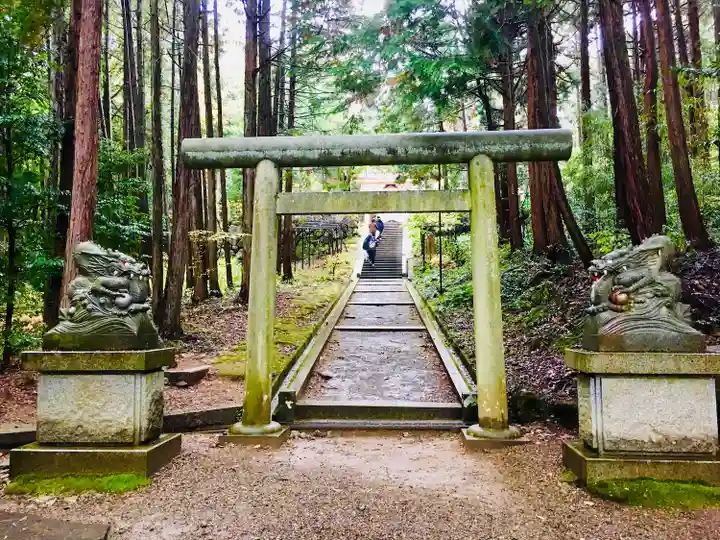 眞名井神社(籠神社奥宮)の鳥居