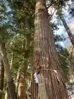 日光二荒山神社(栃木県)
