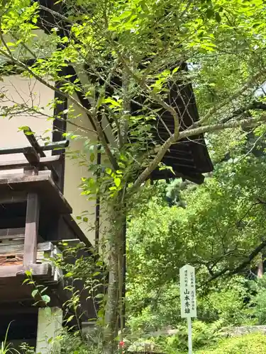 土津神社｜こどもと出世の神さま(福島県)