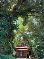 大國主神社の本殿・本堂