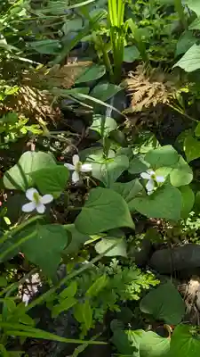 宝蔵寺(京都府)