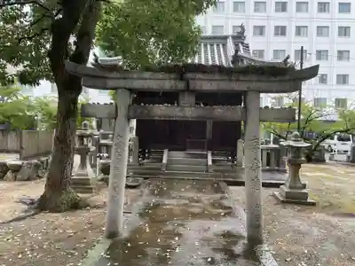 別宮大山祇神社(愛媛県)