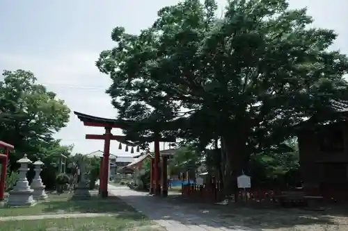 曽根神社の自然