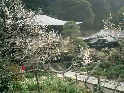 瑞泉寺のその他建物