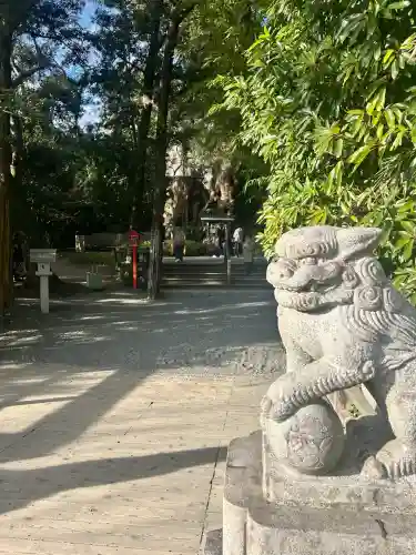 來宮神社(静岡県)