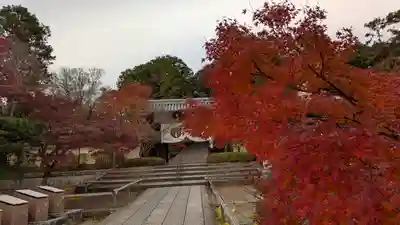 光明寺（粟生光明寺）(京都府)
