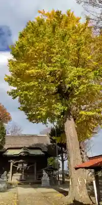 髙部屋神社(神奈川県)