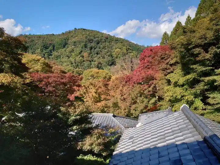 光明寺瑠璃光院(京都府)