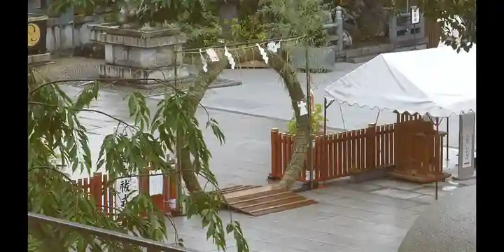 神田神社(神田明神)の体験その他