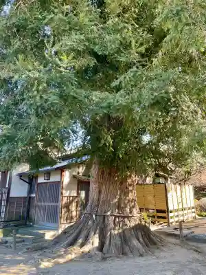 同聚院の{uncategorized: "未分類", other: "その他", undefined: "問題あり", building: "その他建物", grave: "お墓", sacred_gate: "鳥居", guardian: "狛犬", statue: "像", buddha: "仏像", history: "歴史", nature: "自然", garden: "庭園", animal: "動物", pagoda: "塔", temizu: "手水舎", mountain_gate: "山門・神門", sanctuary: "本殿・本堂", subordinate: "末社・摂社", art: "芸術", scenery: "景色", jizo: "地蔵", ema: "絵馬", goshuin: "御朱印", omikuji: "おみくじ", items: "授与品その他", amulet: "お守り", goshuincho: "御朱印帳", eats: "食事", festival: "お祭り", votive_dance: "神楽", shichigosan: "七五三参", wedding: "結婚式", experience: "体験その他", initially: "初詣", around: "周辺", anti_infection: "感染症対策"}