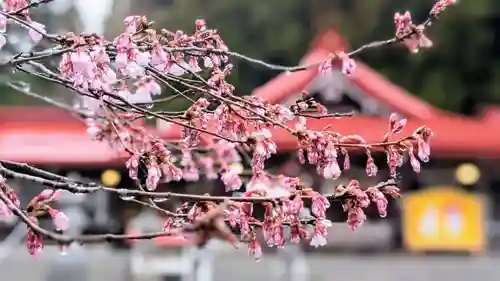 金蛇水神社の自然