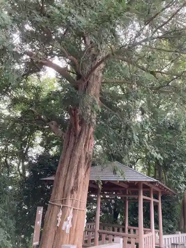 神鳥前川神社(神奈川県)