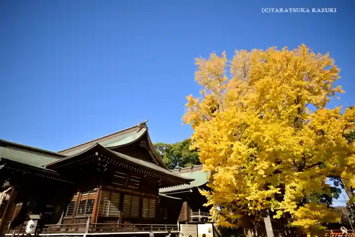 葛飾八幡宮(千葉県)