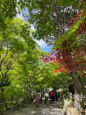 尊永寺(静岡県)