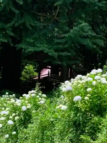 白山寺(福島県)