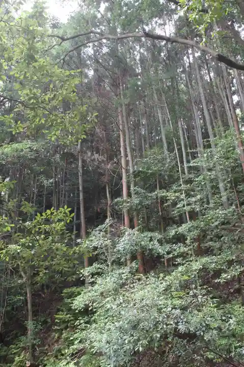 南陽院(奈良県)