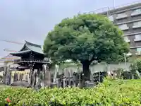 妙法寺(東京都)
