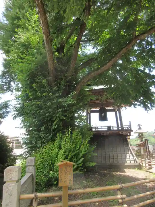 北向観音のその他建物